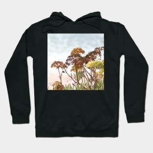 Succulent wild flowers by the sea - sea fennel Hoodie